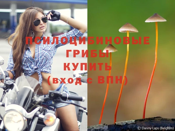 СК Богородицк