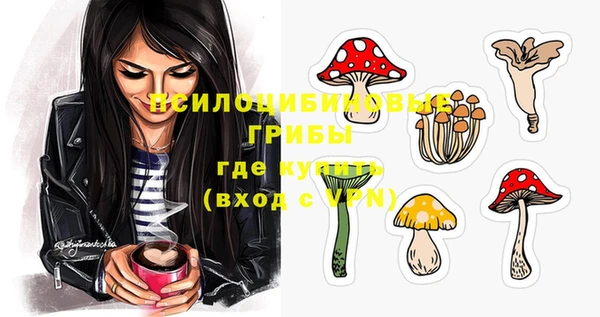 трава Богданович
