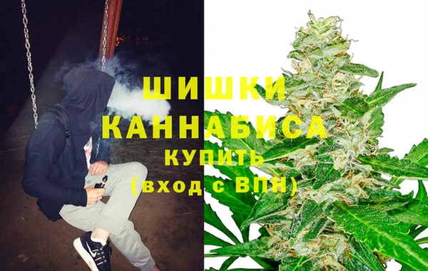 амф Богородск
