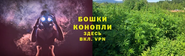 СК Богородицк