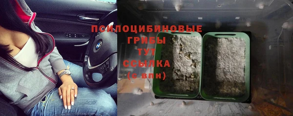 СК Богородицк
